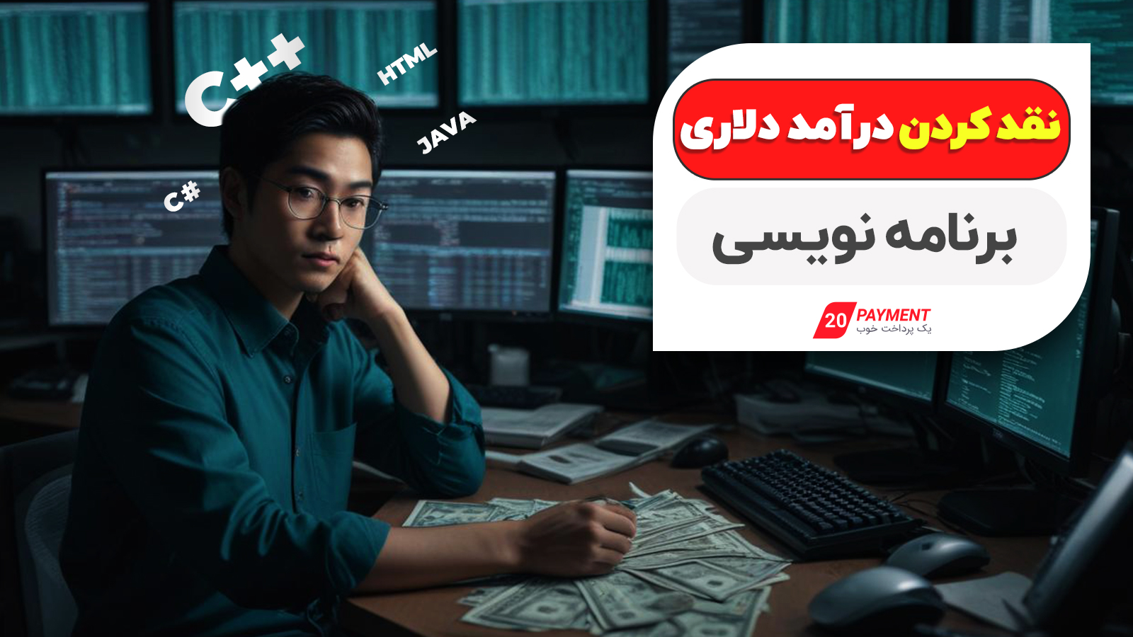 نقد کردن درآمد دلاری برنامه‌نویسی